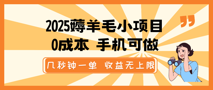 2025薅羊毛小项目，0成本 手机可做，几秒钟一单，收益无上限-小艾项目网