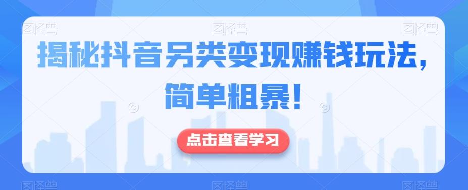 揭秘抖音另类变现赚钱玩法，简单粗暴！-小艾项目网