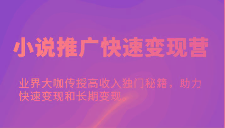 小说推广快速变现营-业界大咖传授高收入独门秘籍，助力快速变现和长期变现。-小艾项目网