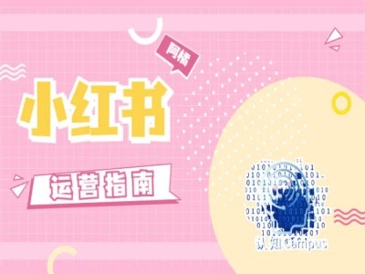 小红书运营指南，没有套路，全是经验-小艾项目网