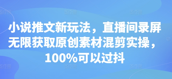 小说推文新玩法，直播间录屏无限获取原创素材混剪实操，100%可以过抖-小艾项目网