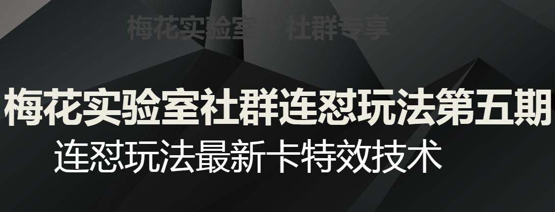 梅花实验室社群连怼玩法第五期，视频号连怼玩法最新卡特效技术-小艾项目网