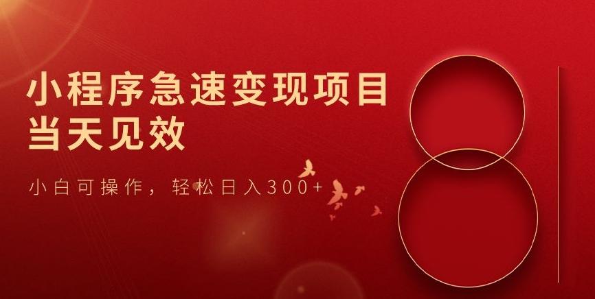 小程序急速变现项目，当天见效，小白可操作，轻松日入300+-小艾项目网
