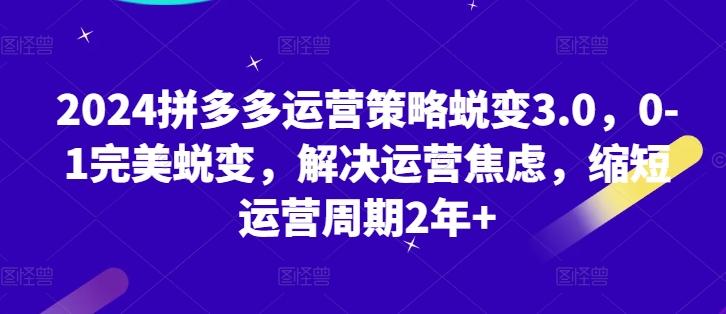 2024拼多多运营策略蜕变3.0，0-1完美蜕变，解决运营焦虑，缩短运营周期2年+-小艾项目网