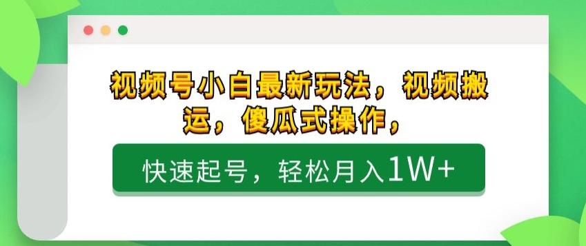 视频号小白最新玩法，视频搬运，傻瓜式操作，快速起号，轻松月入1W+-小艾项目网