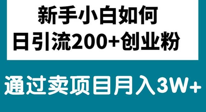 新手小白日引流200+创业粉,通过卖项目月入3W+-小艾项目网