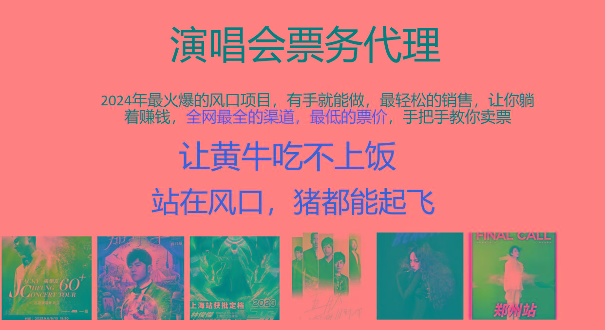 2024年最火爆风口项目，演唱会票务代理，日入2000+，一部手机就能搞定！-小艾项目网