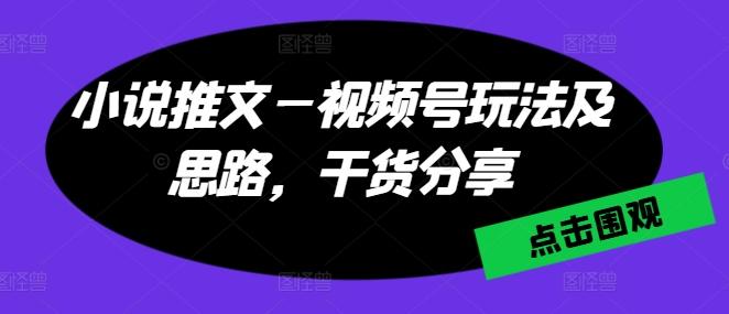 小说推文—视频号玩法及思路，干货分享-小艾项目网