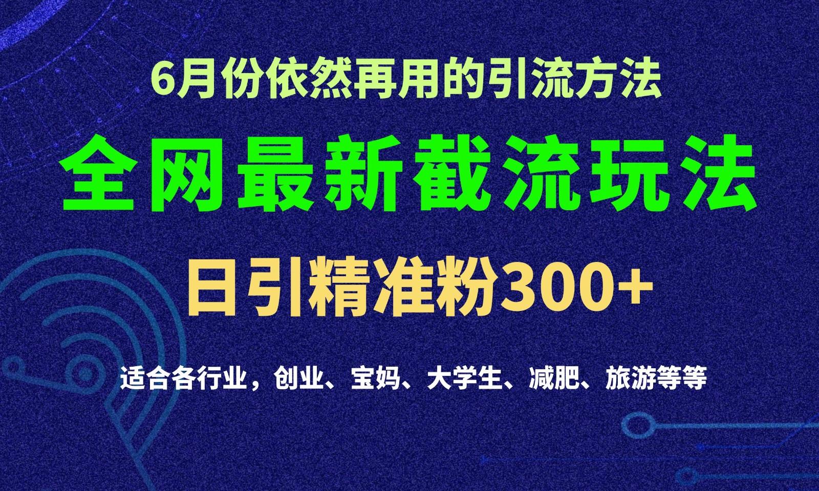 2024全网最新截留玩法,每日引流突破300+-小艾项目网