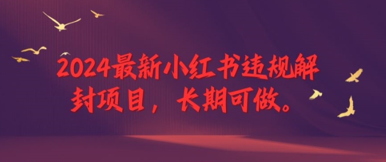 2024最新小红书违规解封项目，长期可做，一个可以做到退休的项目【揭秘】-小艾项目网