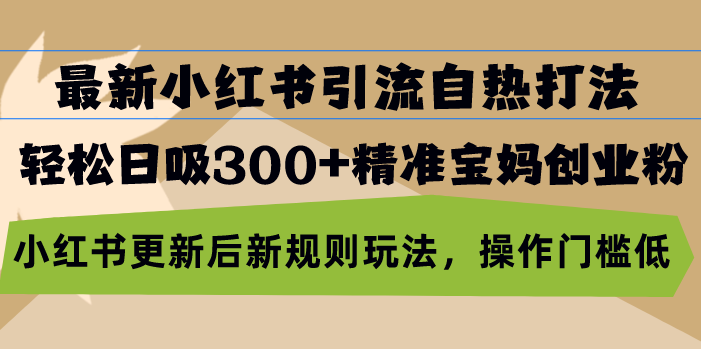 最新小红书引流自热打法，轻松日吸300+精准宝妈创业粉，小红书更新后新...-小艾项目网