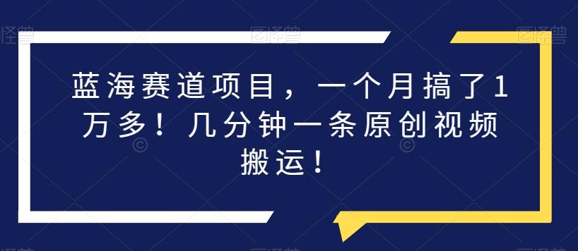 蓝海赛道项目，一个月搞了1万多！几分钟一条原创视频搬运！-小艾项目网