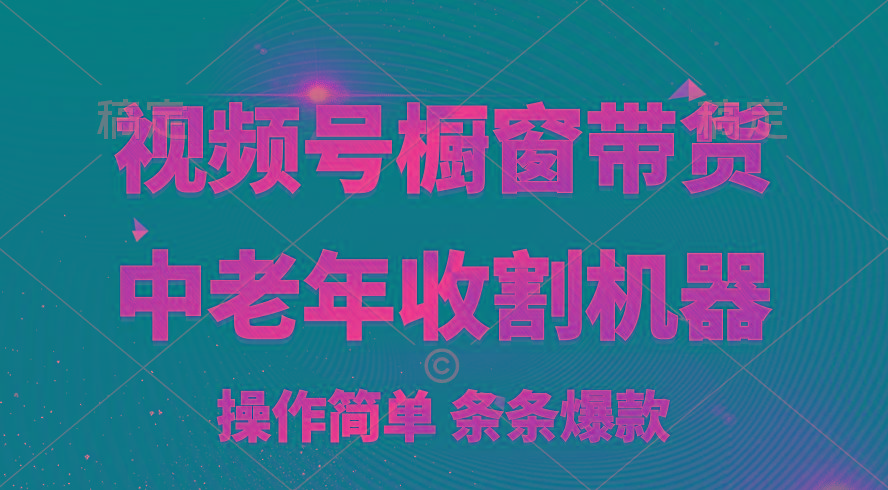 [你的孩子成功取得高位]视频号最火爆赛道，橱窗带货，流量分成计划，条...-小艾项目网