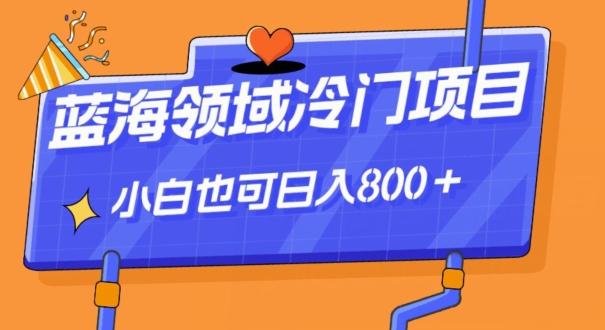 蓝海领域冷门赛道，一单39.9，日入800＋-小艾项目网