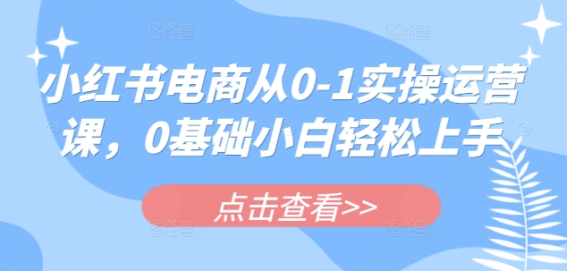 小红书电商从0-1实操运营课，0基础小白轻松上手-小艾项目网