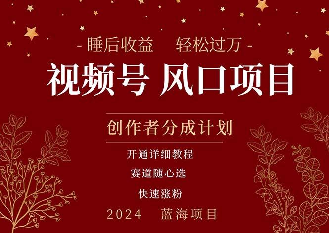 拥有睡眠收益的微信视频号大风口项目，轻松月入过万+，多赛道选择，可...-小艾项目网