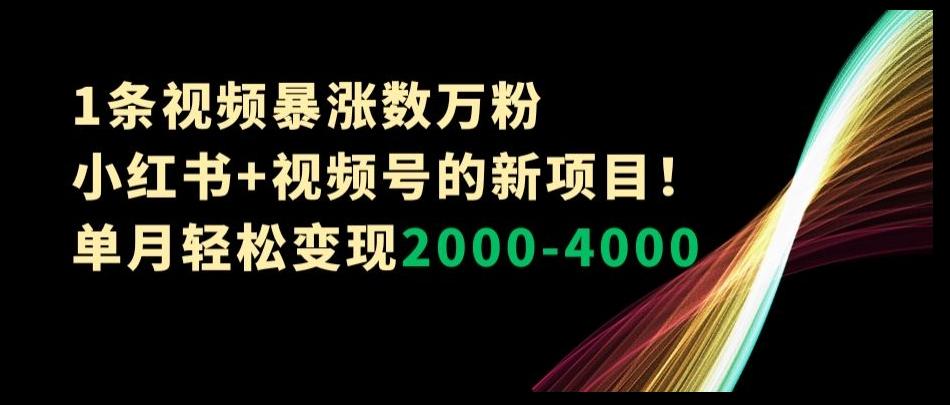 1条视频暴涨数万粉--小红书+视频号的新项目！单月轻松变现2000-4000【揭秘】-小艾项目网