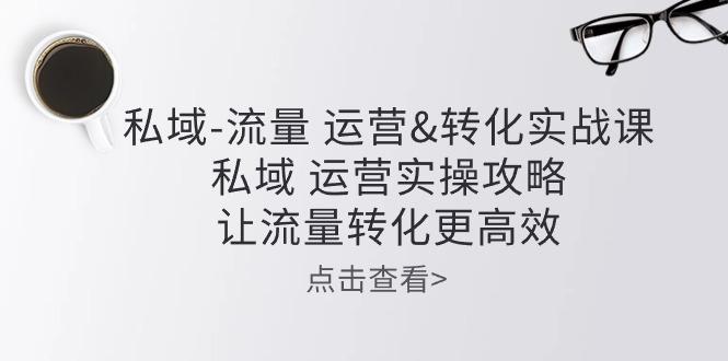 私域-流量 运营&转化实操课：私域 运营实操攻略 让流量转化更高效-小艾项目网