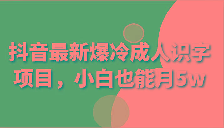 抖音最新爆冷成人识字项目,小白也能月5w-小艾项目网