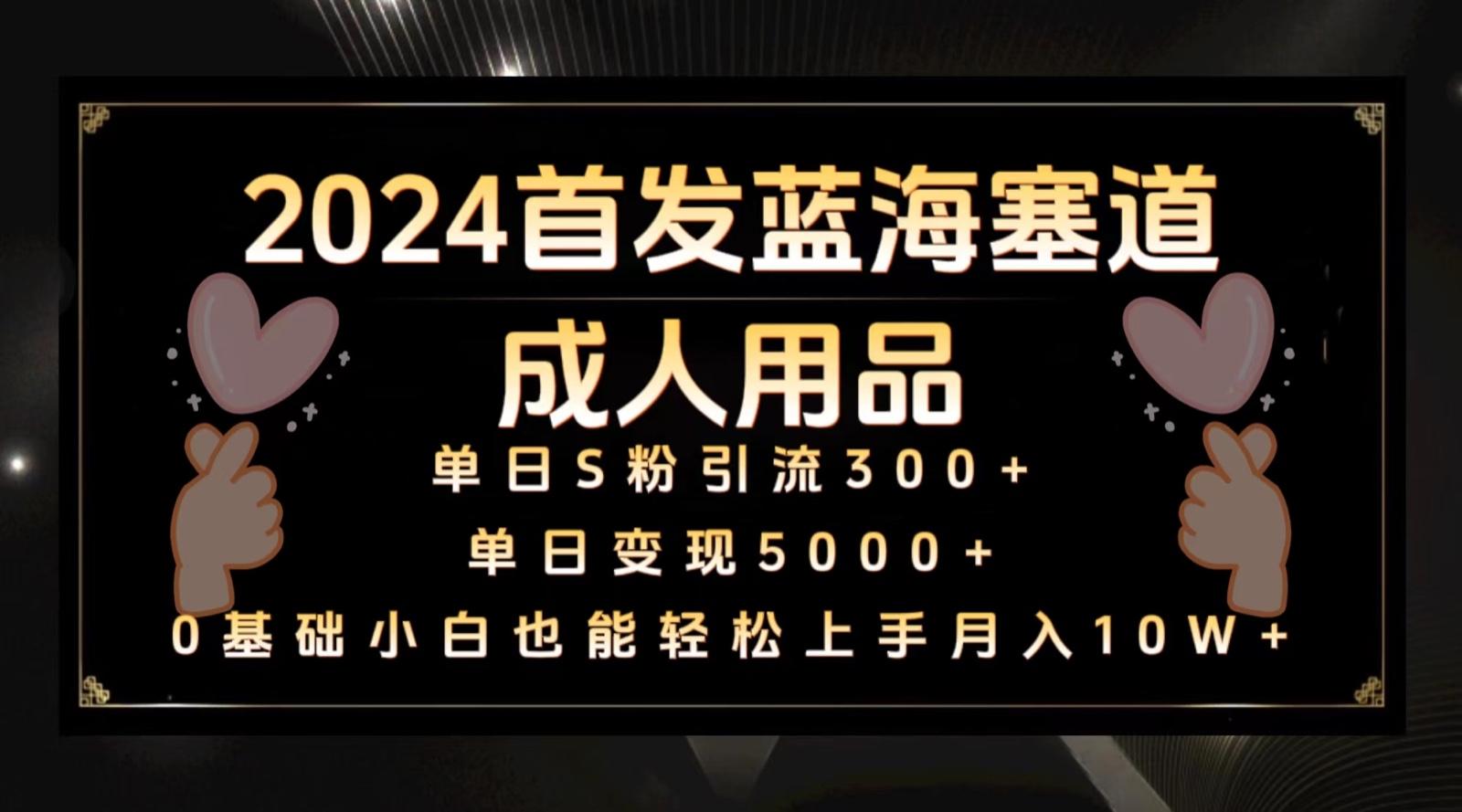 2024首发蓝海塞道成人用品，月入10W+保姆教程-小艾项目网