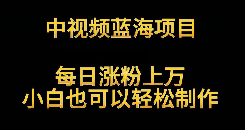中视频蓝海项目，解读英雄人物生平，每日涨粉上万，小白也可以轻松制作，月入过万不是梦【揭秘】-小艾项目网