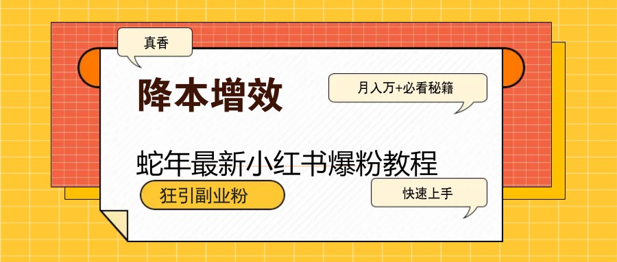 蛇年最新小红书爆粉教程，狂引副业粉，月入万+必看-小艾项目网