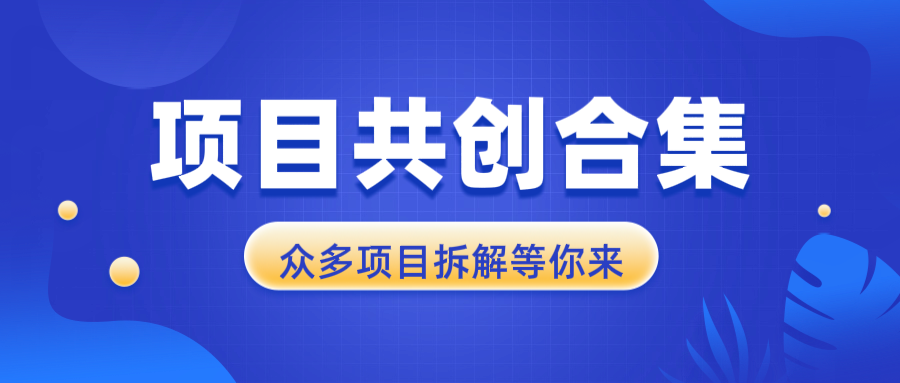 项目共创合集，从0-1全过程拆解，让你迅速找到适合自已的项目-小艾项目网