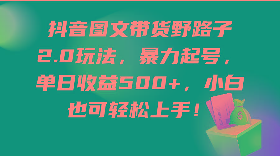 (9790期)抖音图文带货野路子2.0玩法，暴力起号，单日收益500+，小白也可轻松上手！-小艾项目网