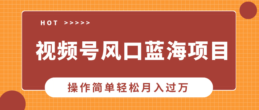 视频号风口蓝海项目，中老年人的流量密码，操作简单轻松月入过万-小艾项目网