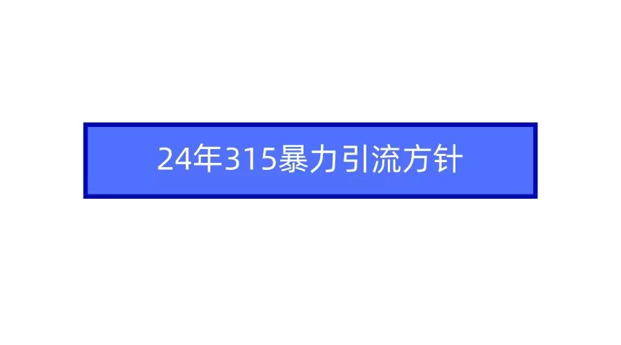 (9398期)2024年315暴力引流方针-小艾项目网