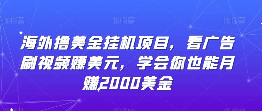海外撸美金挂机项目，看广告刷视频赚美元，学会你也能月赚2000美金-小艾项目网