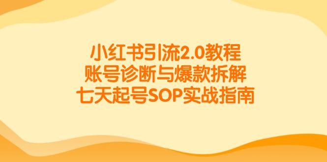 小红书引流2.0教程,账号诊断与爆款拆解,七天起号SOP实战指南-小艾项目网