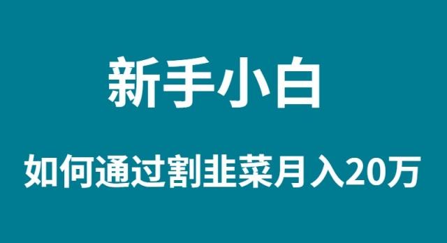 (9308期)新手小白如何通过割韭菜月入 20W-小艾项目网