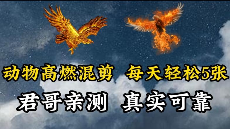 动物超燃混剪，每天轻松5张，剪辑简单大家爱看【揭秘】-小艾项目网