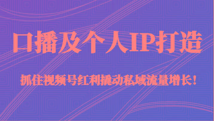口播及个人IP打造，抓住视频号红利撬动私域流量增长！（45节课）-小艾项目网