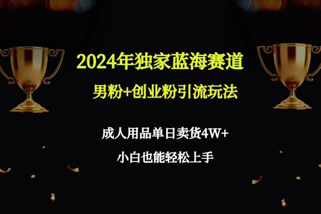 2024年独家蓝海赛道男粉+创业粉引流玩法，成人用品单日卖货4W+保姆教程-小艾项目网