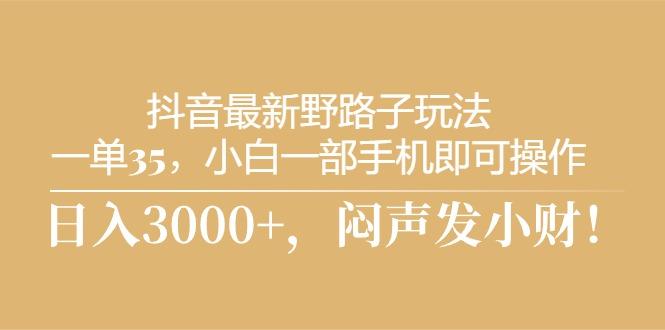 抖音最新野路子玩法，一单35，小白一部手机即可操作，，日入3000+，闷...-小艾项目网