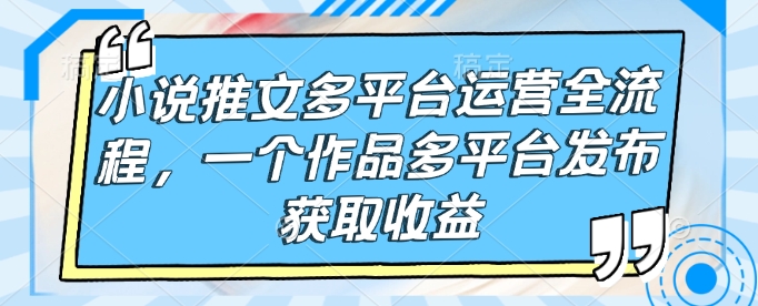 小说推文多平台运营全流程，一个作品多平台发布获取收益-小艾项目网