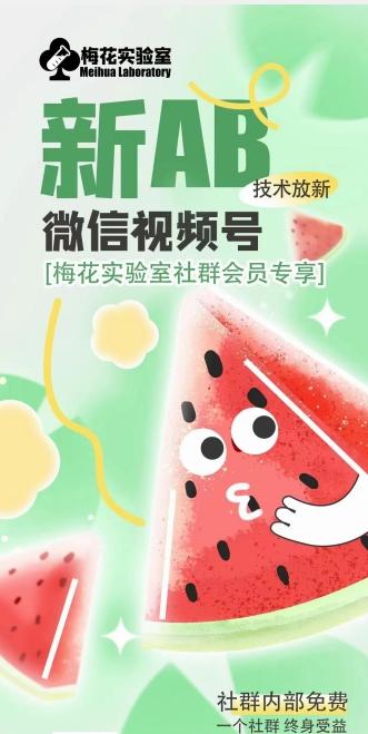 梅花实验室2024年AB技术视频号AB合成破解版-小艾项目网