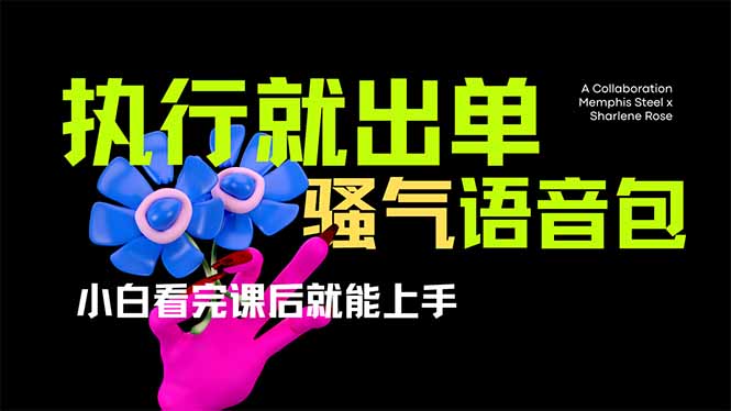 爆火全网的开车导航骚气语音包,只要执行就出单，小白看完课程就能实操...-小艾项目网