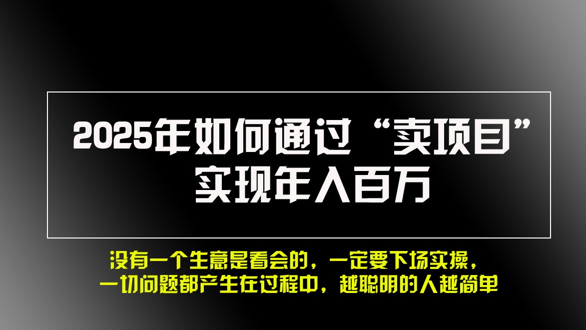 2025年如何通过“卖项目”实现年入百万-小艾项目网