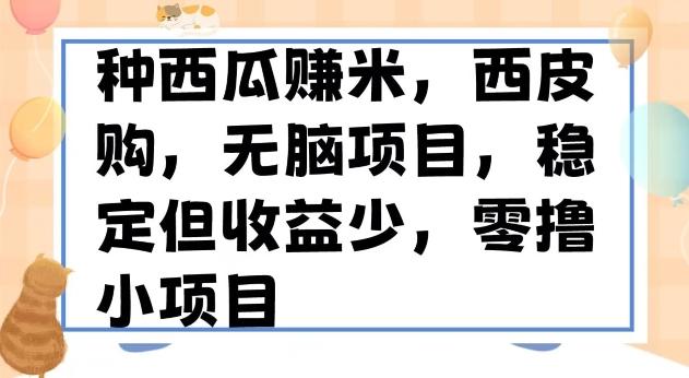 种西瓜赚米，西皮购稳定长久零撸小项目-小艾项目网