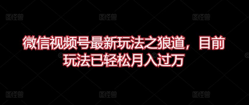 微信视频号最新玩法之狼道，目前玩法已轻松月入过万【揭秘】-小艾项目网