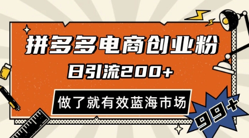 拼多多引流电商创业粉，日引200+，可矩阵放大，做了就有效【揭秘】-小艾项目网