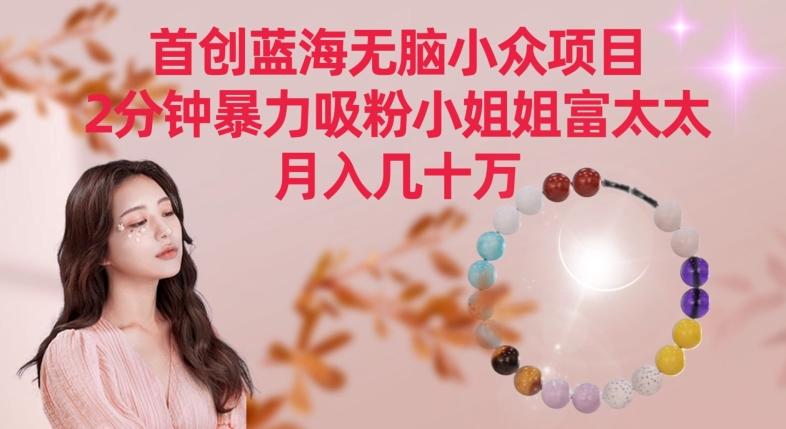 首创蓝海无脑小众项目，2分钟暴力吸粉小姐姐富太太，月入几十万【揭秘】-小艾项目网