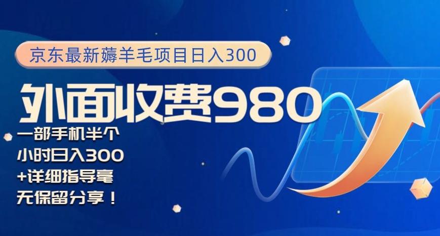 京东最新薅羊毛项目小白怎么做到日入300+一部手机半小时搞定-小艾项目网